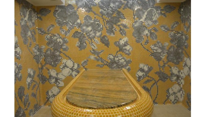 Aqua Viva Spa Hotel poza 2