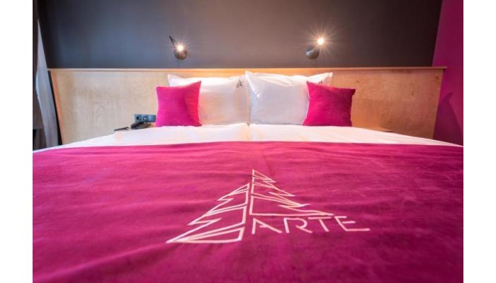 Arte Spa&park Hotel poza 4