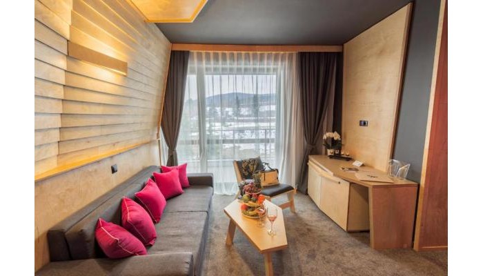 Arte Spa&park Hotel poza 8