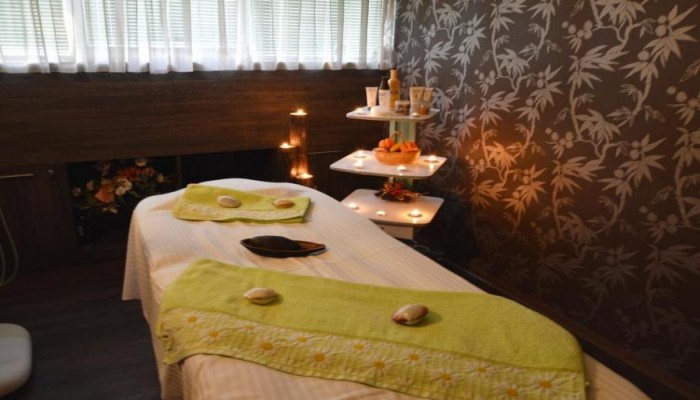 Hotel Dvoretsa poza 5