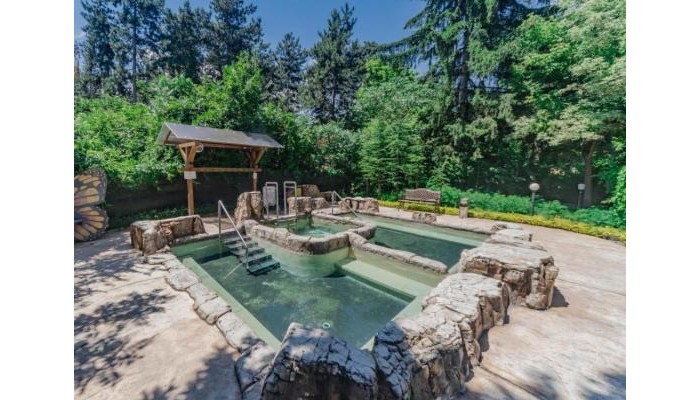 Hotel Dvoretsa poza 24