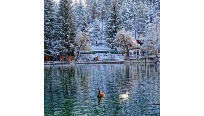 Hotel Guest House Radoychevi poza 1